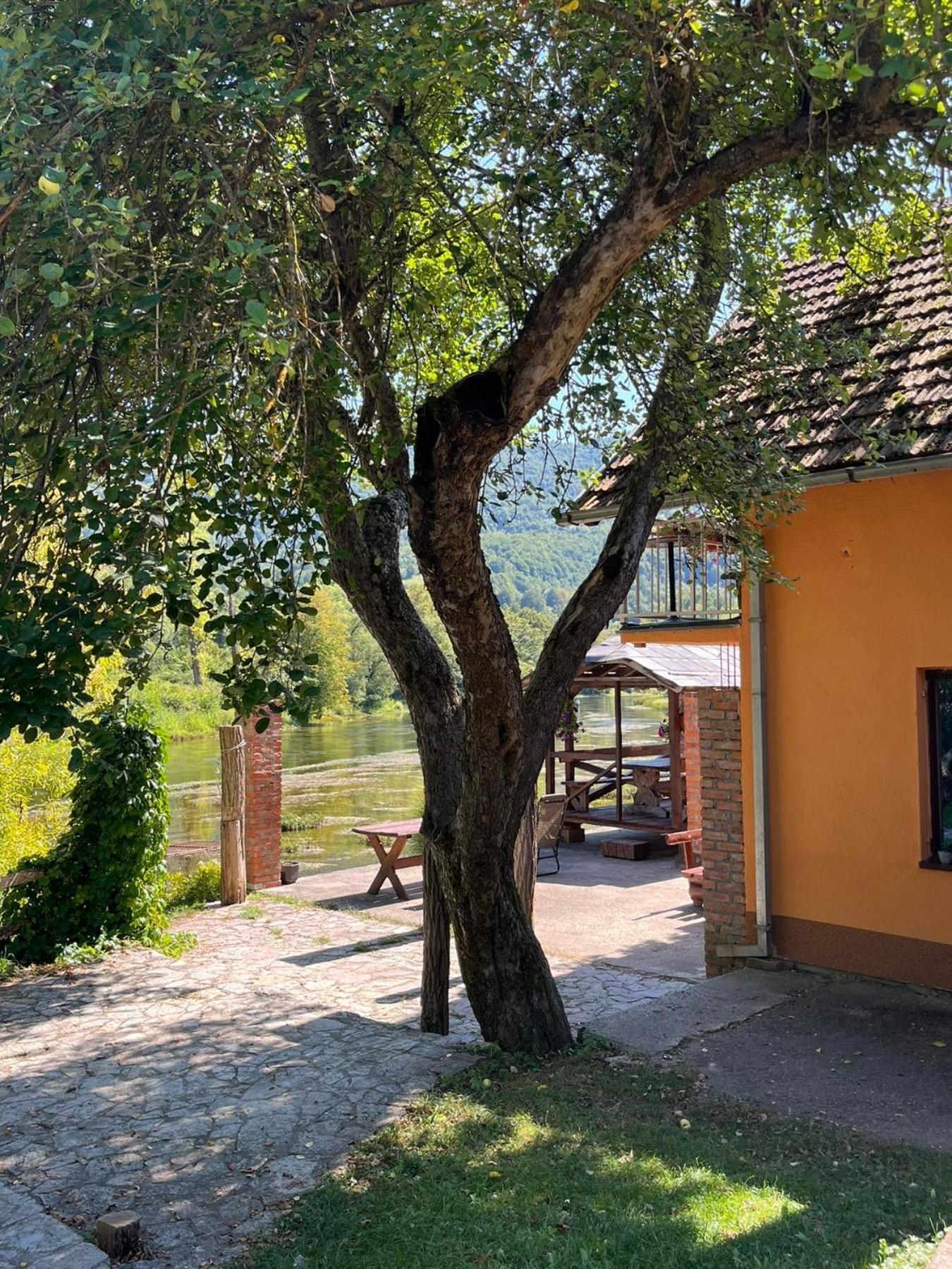 Bed And Breakfast Family Djukic Sipovo Zewnętrze zdjęcie