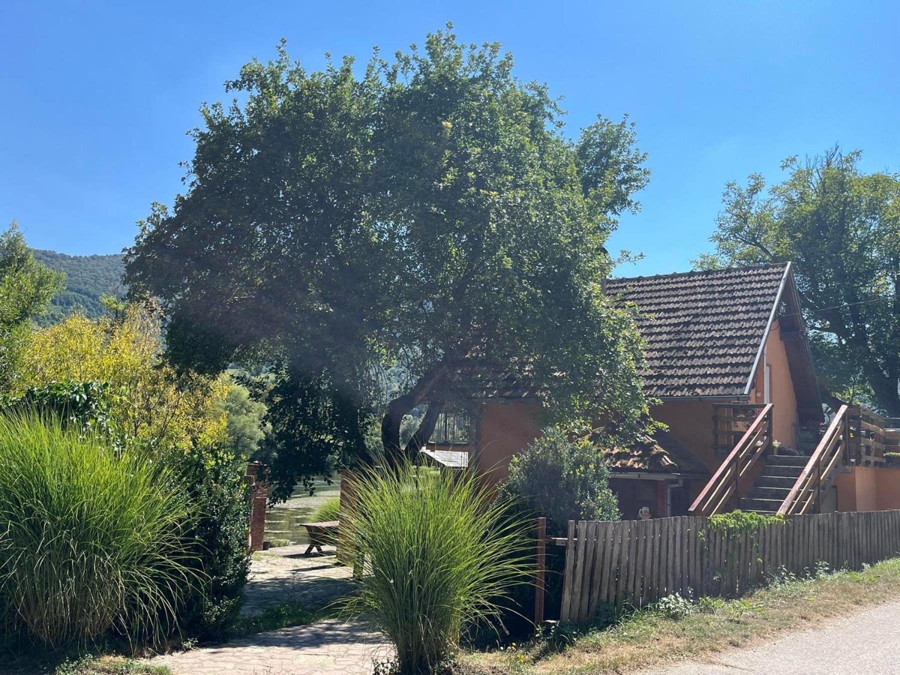 Bed And Breakfast Family Djukic Sipovo Zewnętrze zdjęcie
